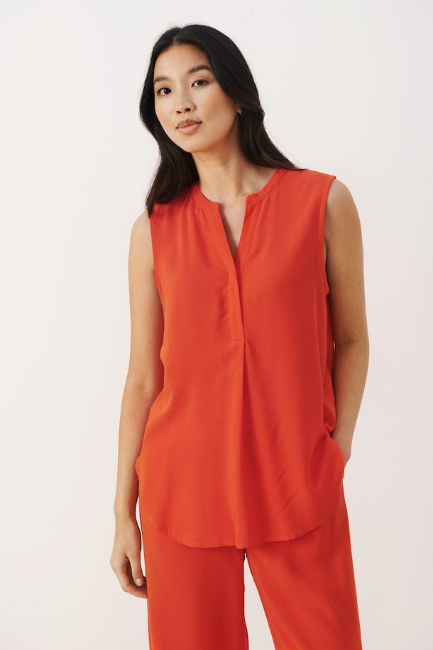 Sarahs Top