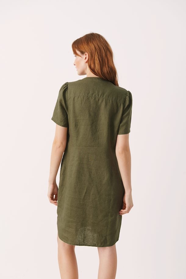 Aminase Dress
