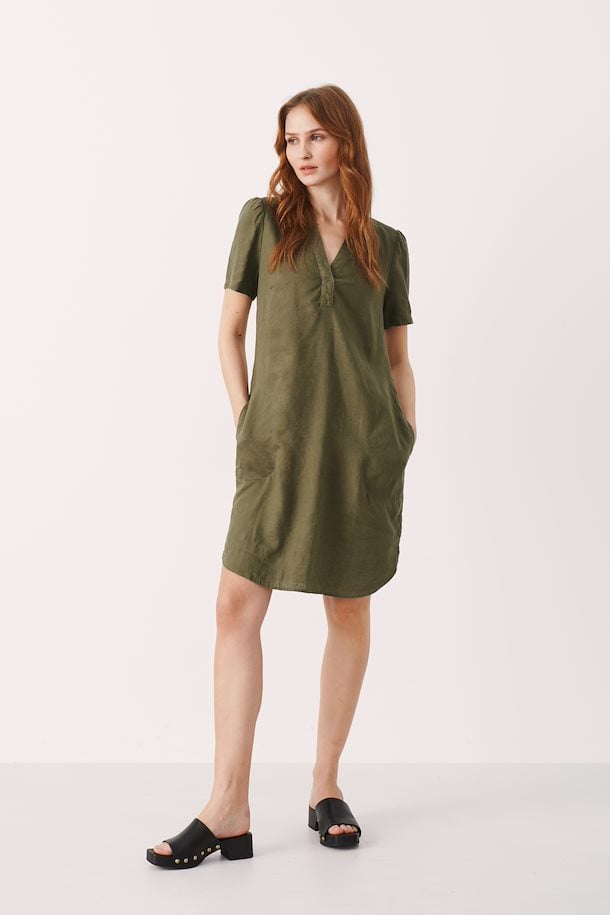Aminase Dress