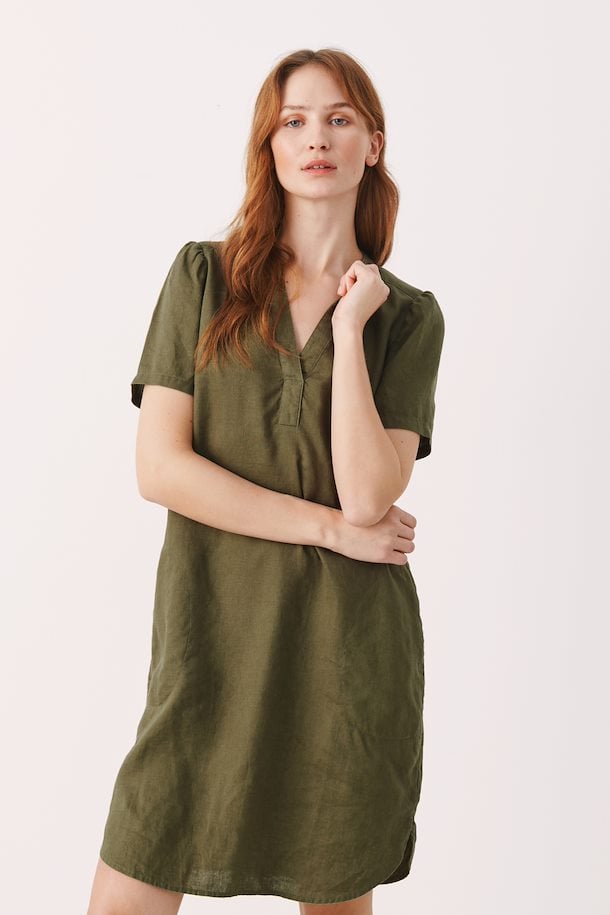 Aminase Dress