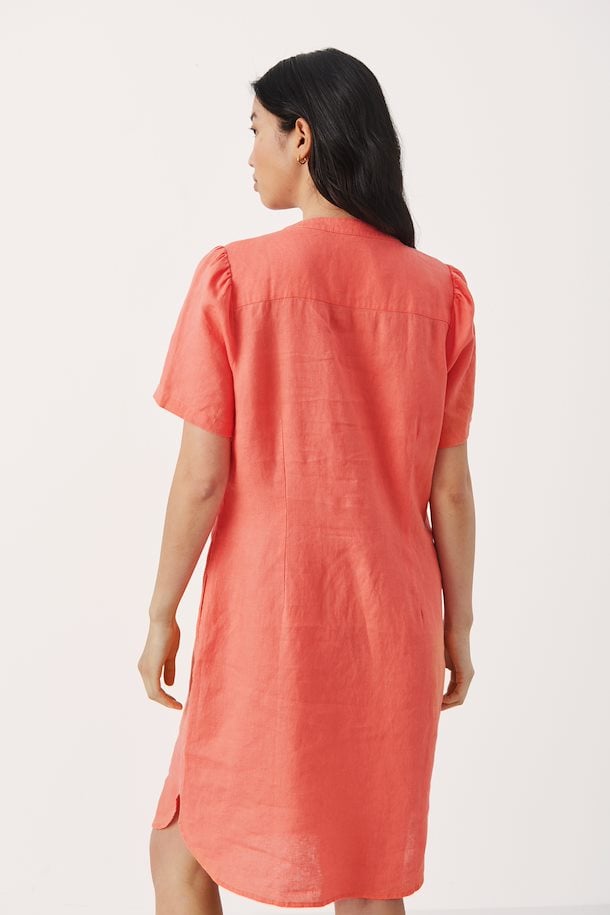 Aminase Dress