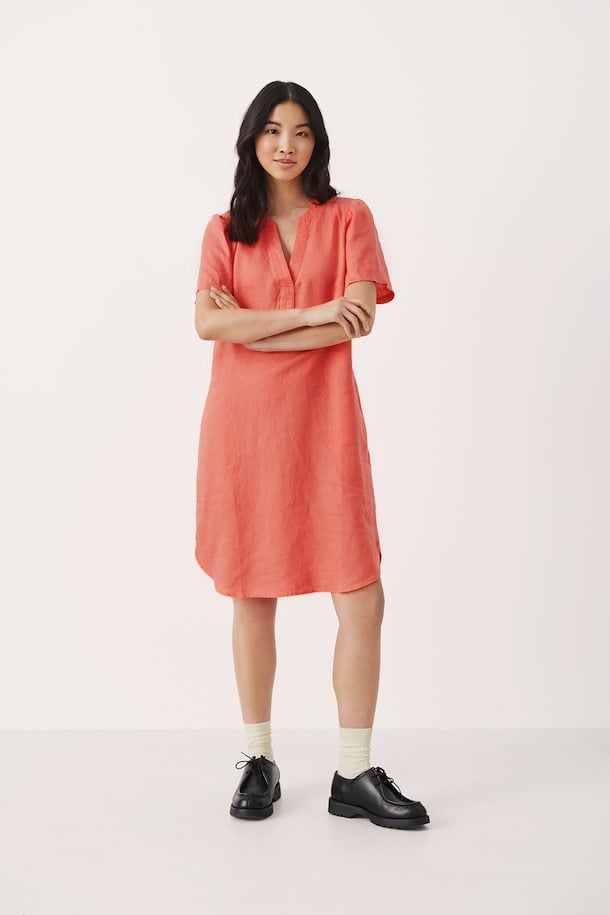 Aminase Dress