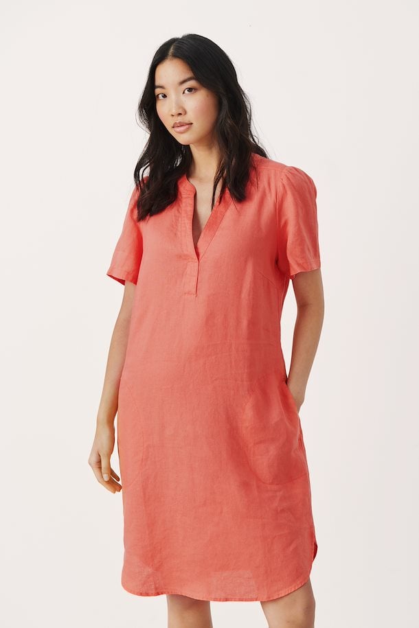 Aminase Dress